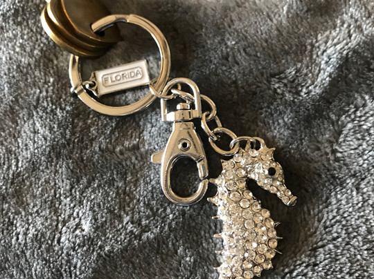 The Shell Factory-迈尔斯堡必去景点