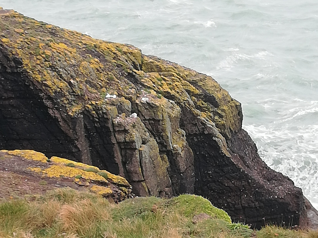 Dunmore East Coastal Walk-Dunmore必去景点