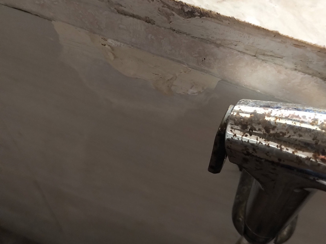 Hotel Hare Krishna Orchid主图