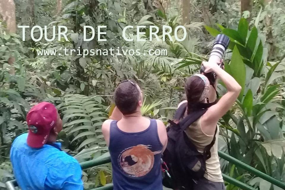 trips nativos tortuguero-托图杰多必去景点