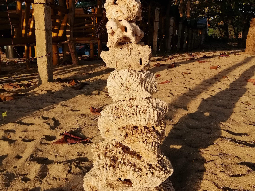 Casa Astillero Beach Resort