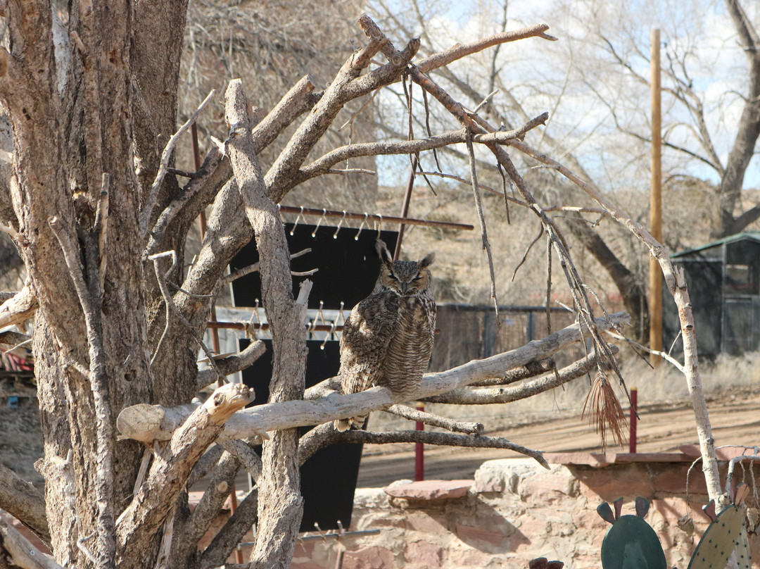 Navajo Nation Zoo & Botanical Park-Window Rock必去景点