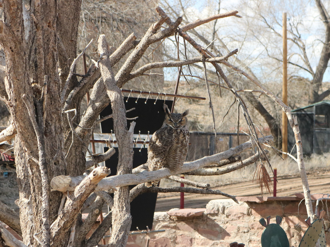 Navajo Nation Zoo & Botanical Park景点图片