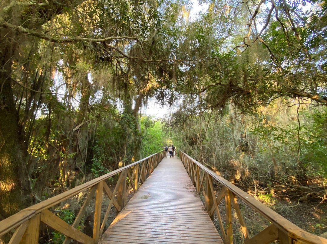 BioIBERA Tourism-Colonia Carlos Pellegrini必去景点