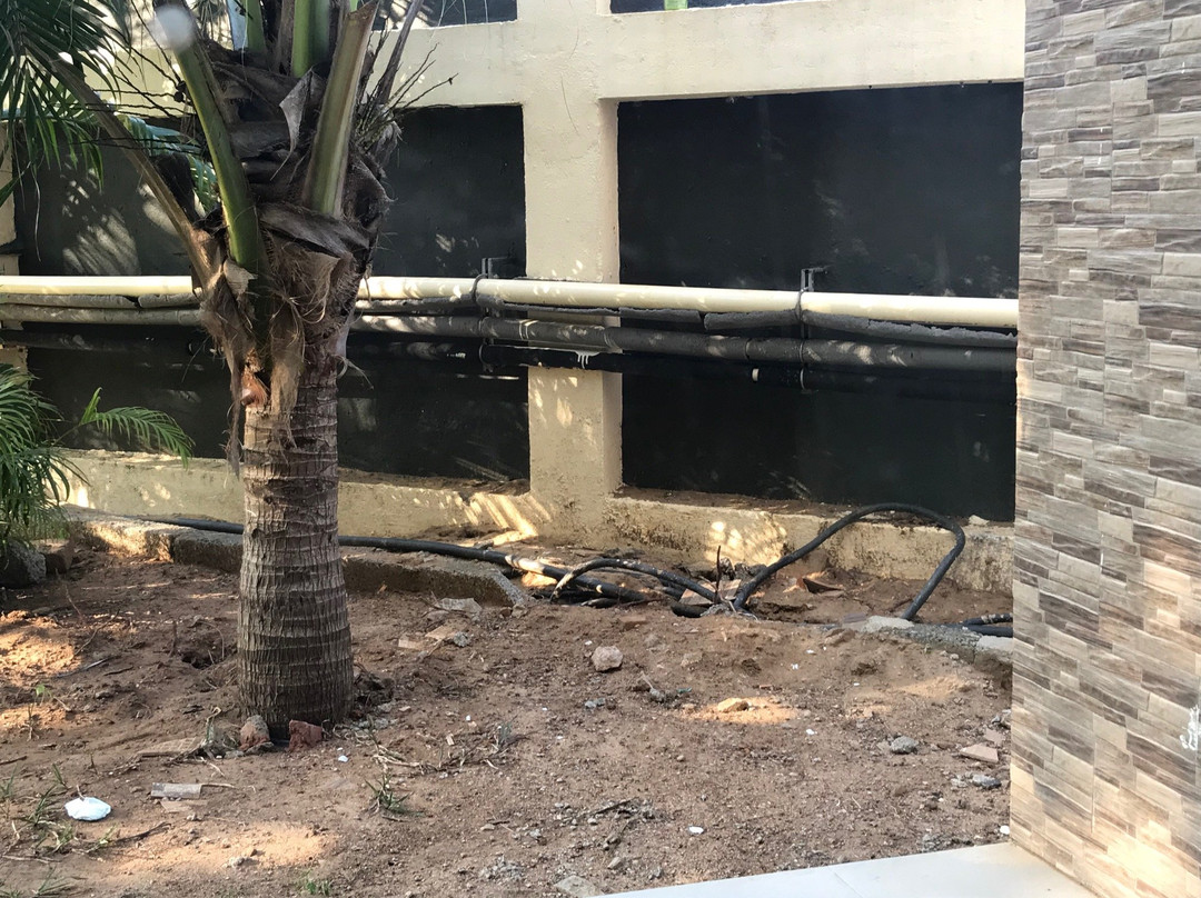 Welcomhotel By ITC Hotels - Kences Palm Beach主图