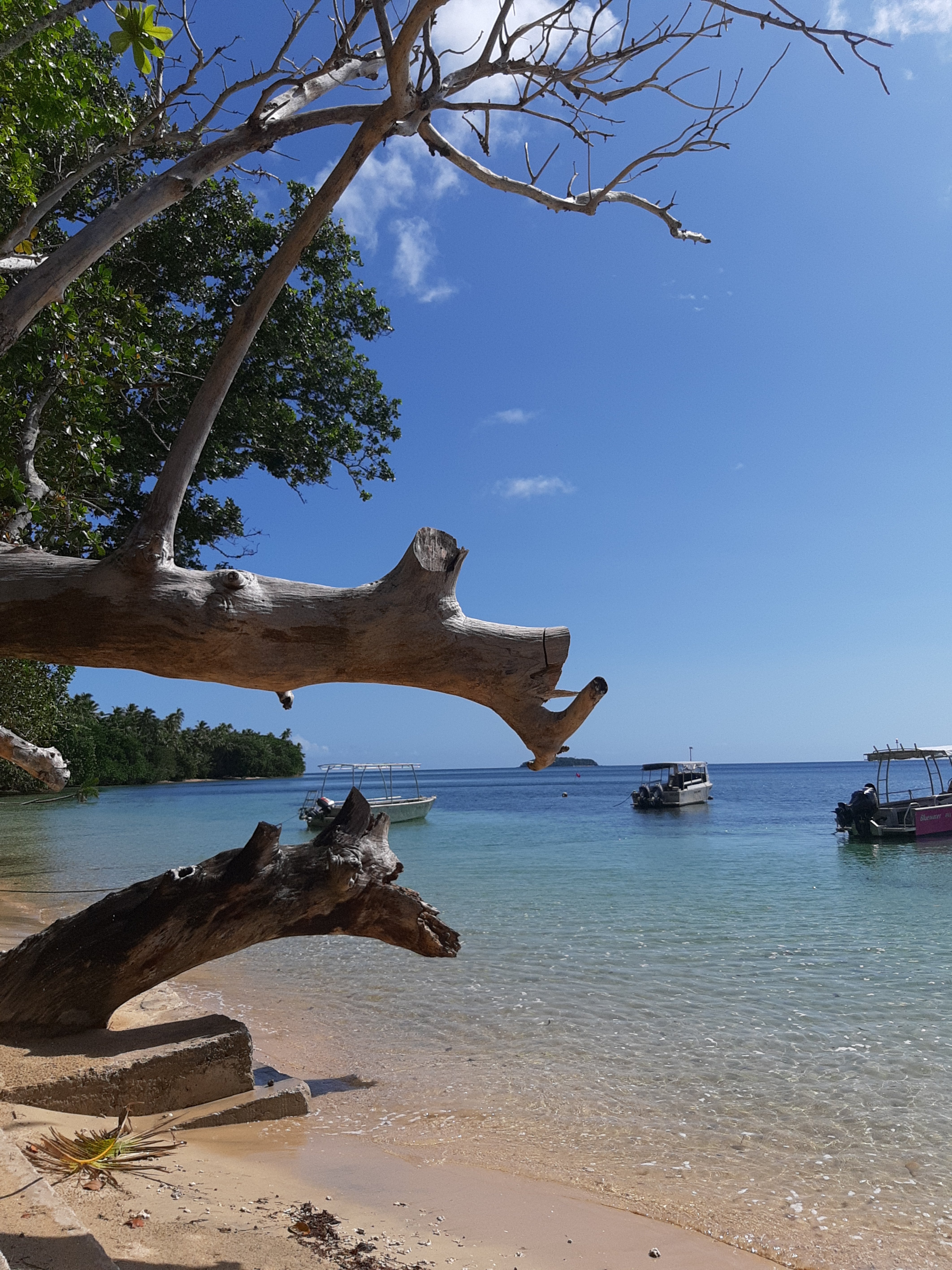 Lawaki Beach House-泳池