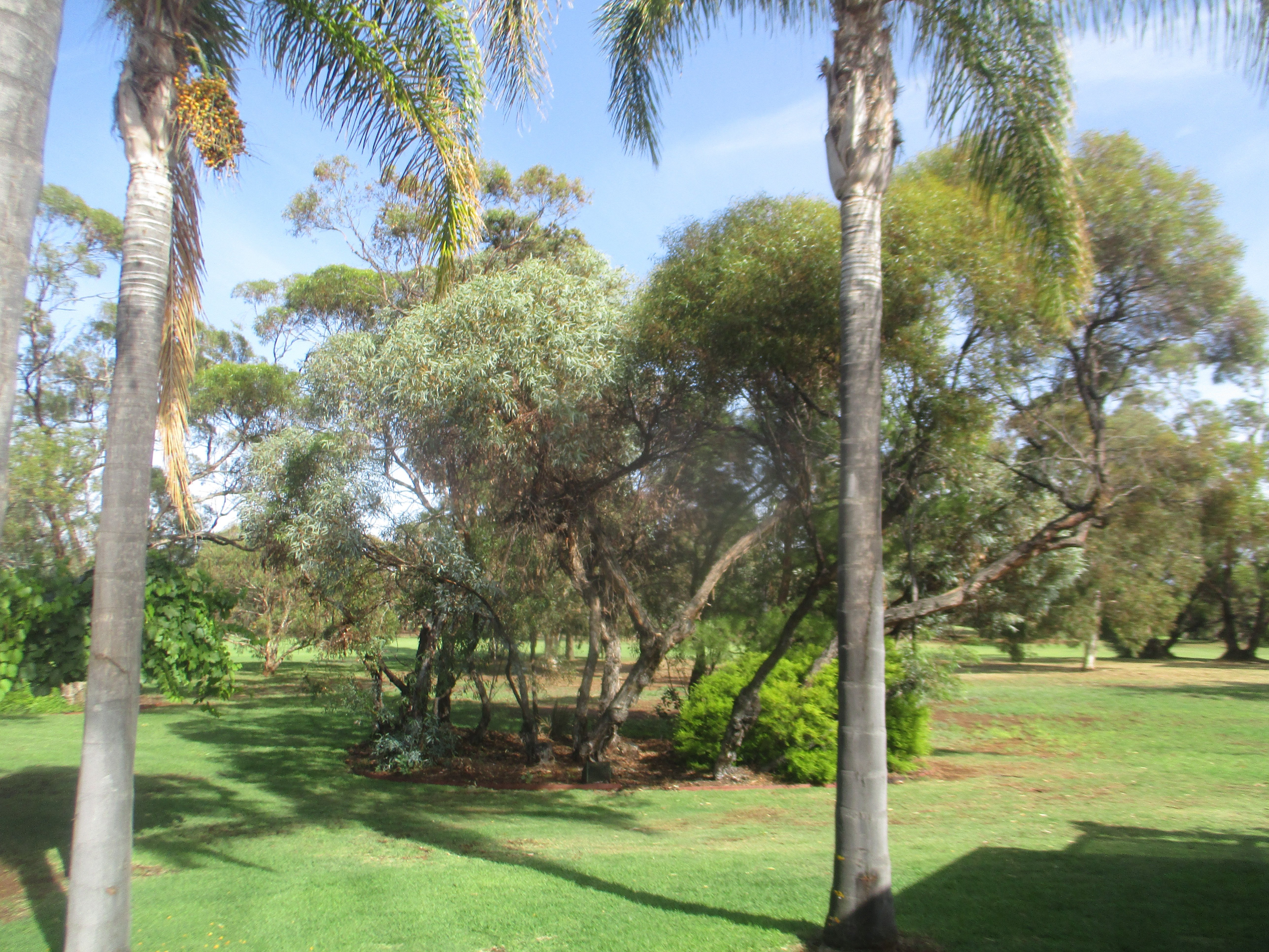 Big River Golf and Country Club-浴室