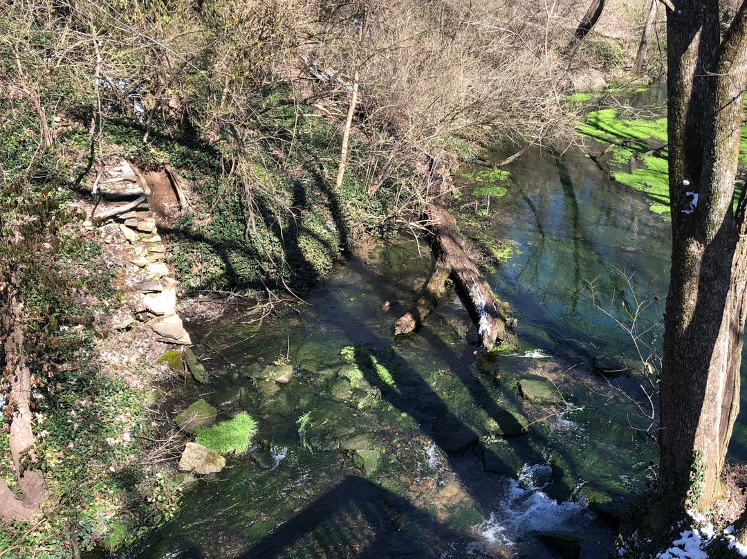 McConnell Springs-列克星敦必去景点