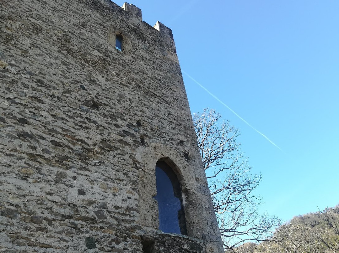 Torre Delfinale景点图片