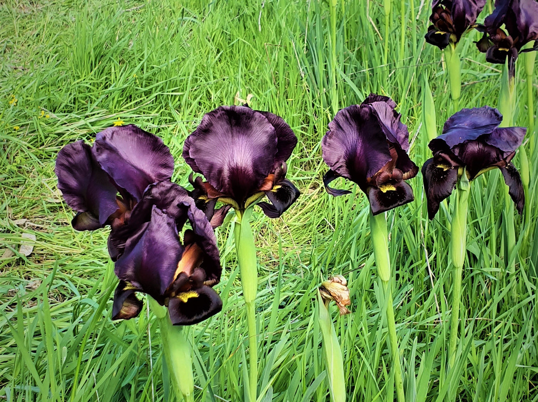 Ilanot Forest-Kadima必去景点