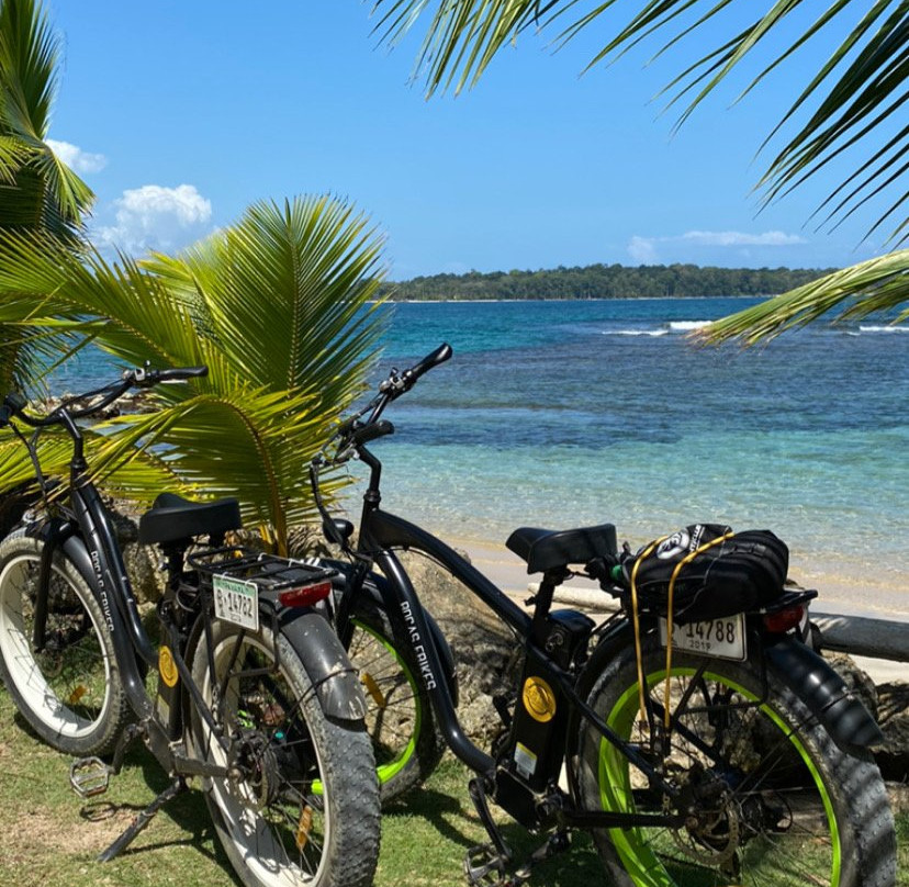 Bocas Ebikes景点图片