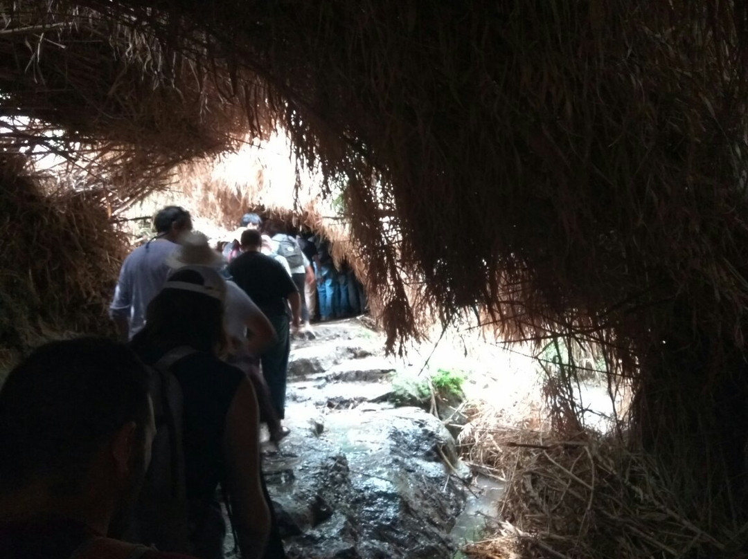 Nachal David Stream-死海地区必去景点