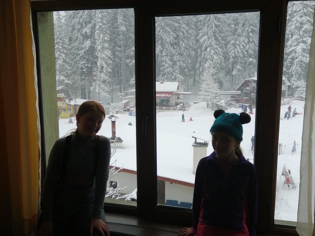 Hotel Forest Star on the Ski Slope