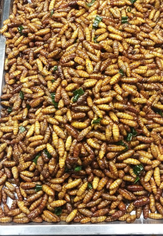 Surat Thani Shrine Market-素叻他尼必去景点