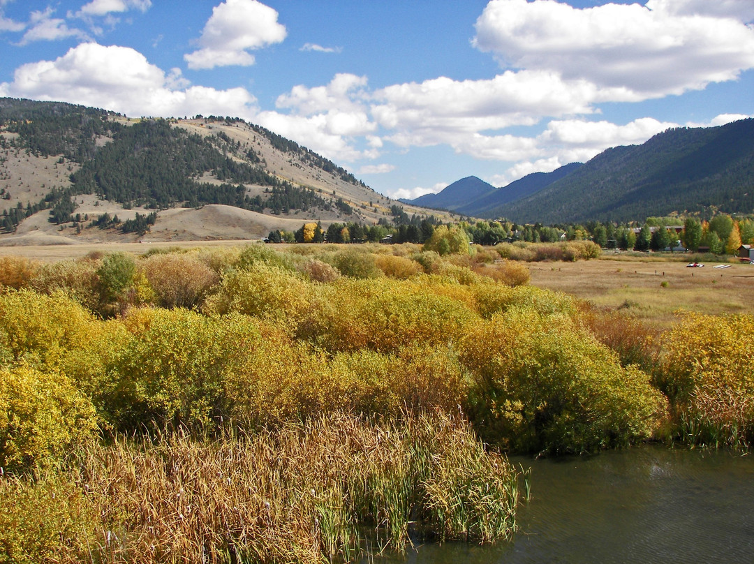 Jackson Hole & Greater Yellowstone Visitor Center景点图片