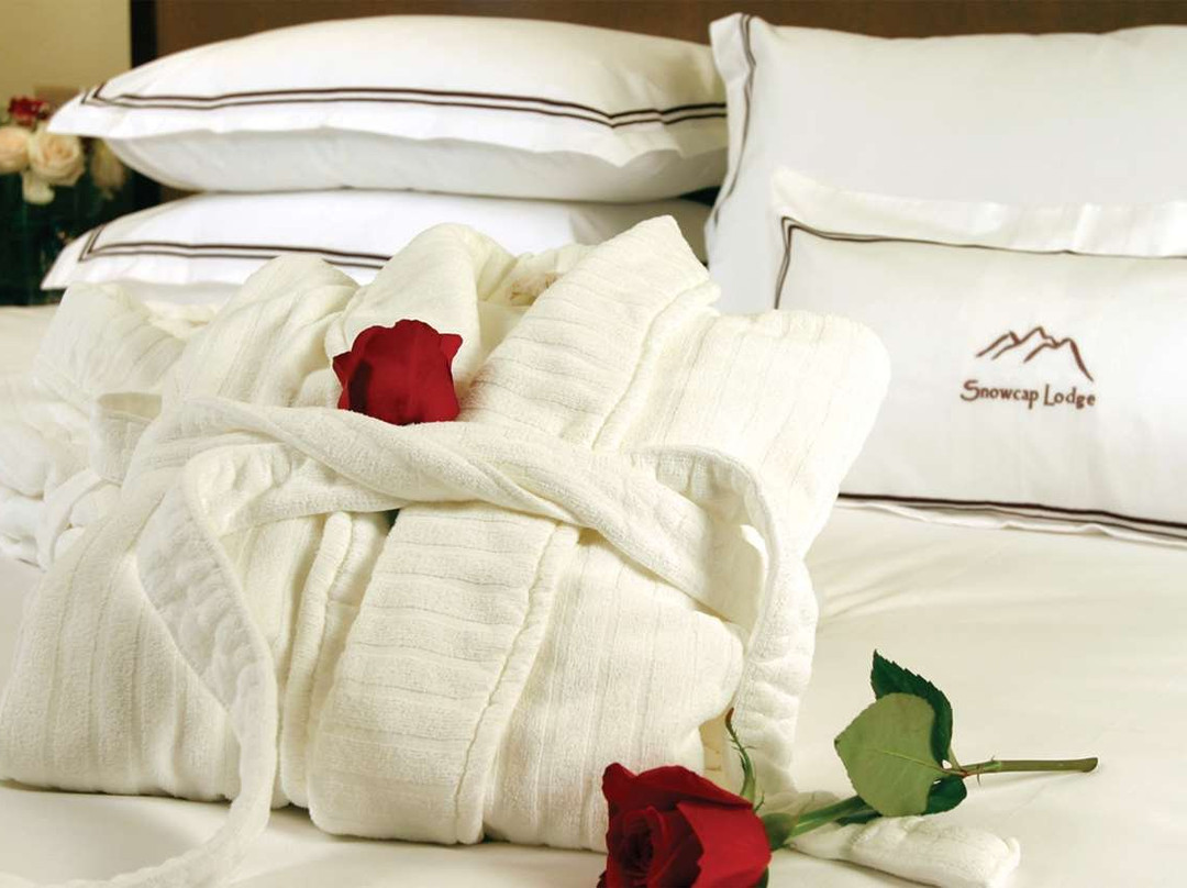 Best Western Snowcap Lodge主图