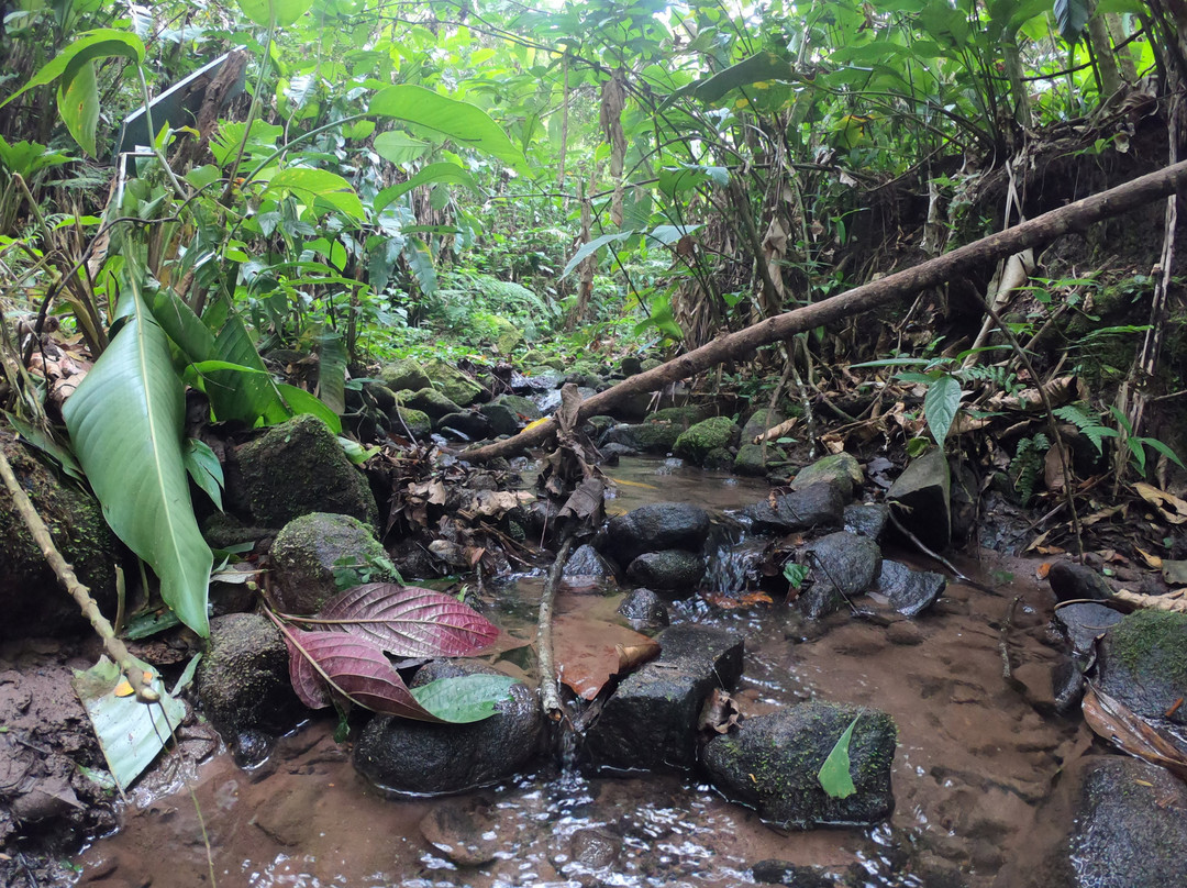 Eco Hotel Arraial do Ouro主图
