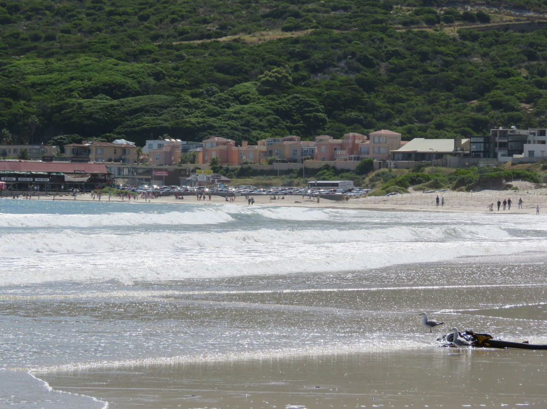 Hout Bay Beach-木湾必去景点