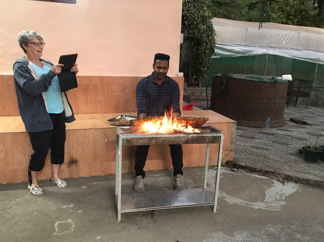 Rainforest Munnar Resort主图