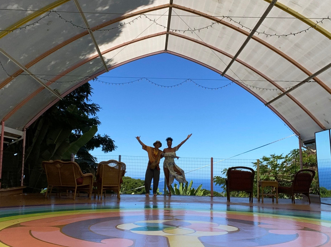 蜻蜓农场-疗伤艺术中心主图