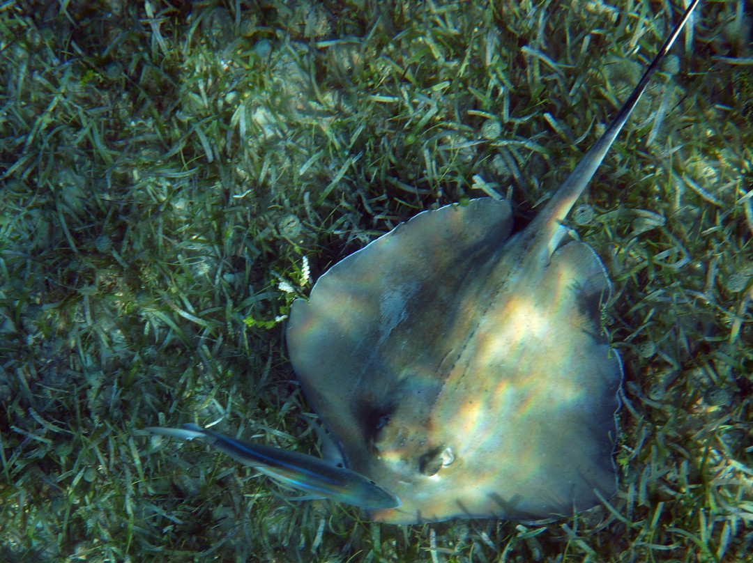 Playa Tamarindo-库莱布拉岛必去景点