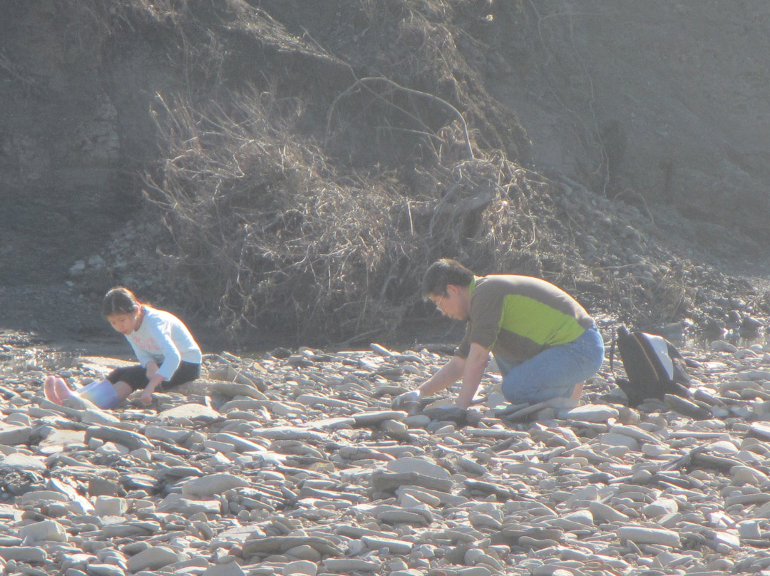 NSR Ladonia Fossil Park景点图片