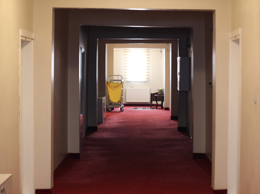 Butik Ertur Hotel主图