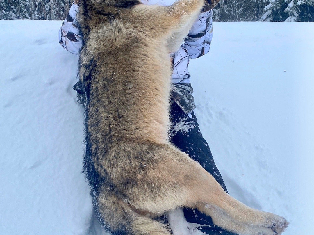 Kapriver Outfitters