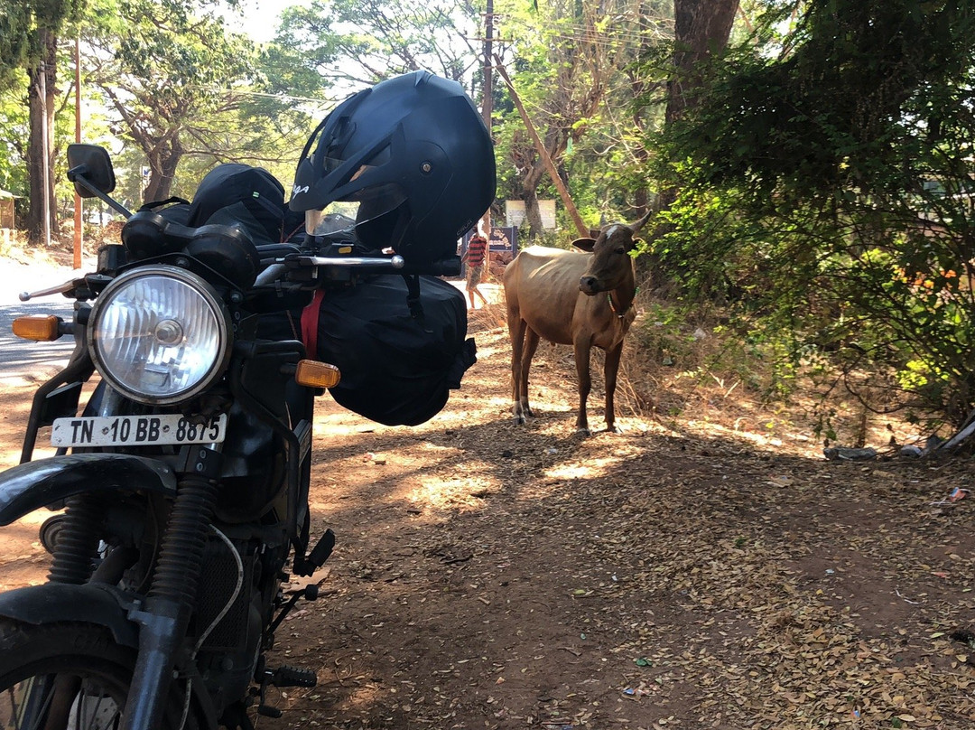 Chennai Motorcycle Rental-金奈（马德拉斯）必去景点
