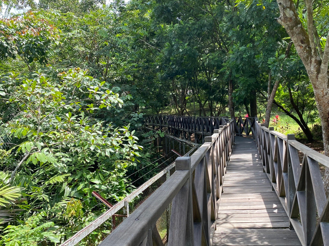 Sun Bear Education and Conservation Center-巴厘巴板必去景点