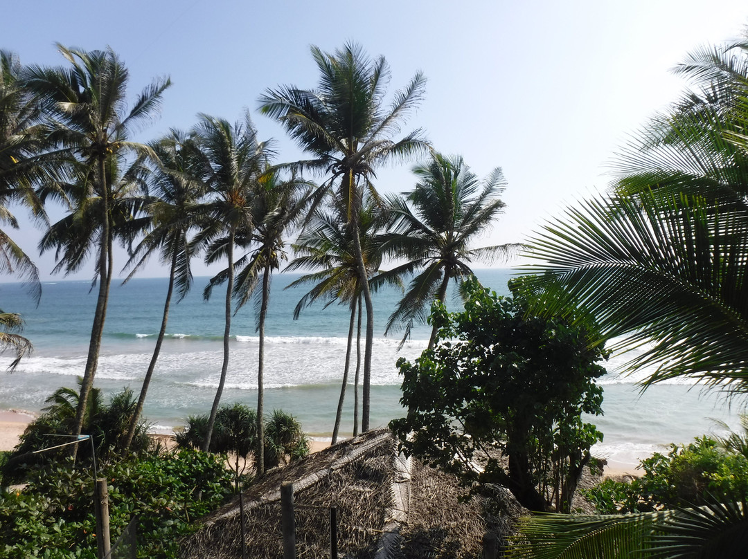 7th Wave Beach House主图