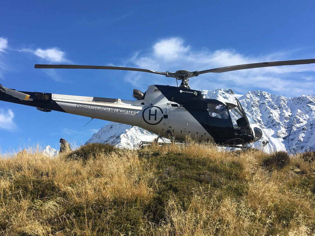 Christchurch Helicopters-基督城必去景点