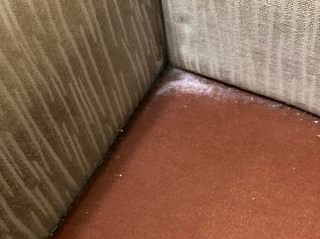 Super 8 by Wyndham Lafayette / Purdue Area主图