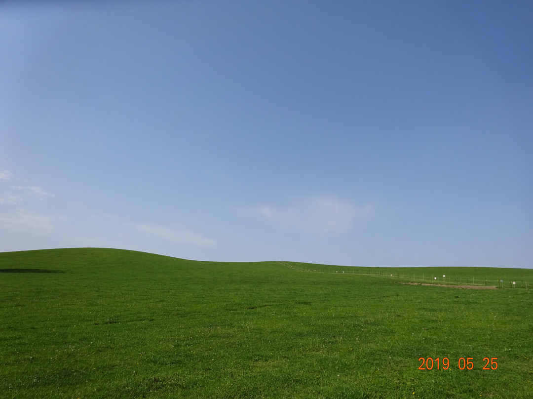 Biei Farm-美瑛町必去景点