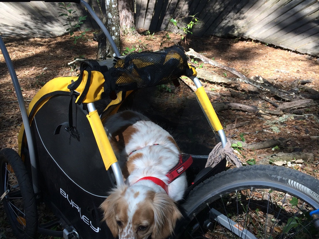 Santos Trailhead & Campground-奥卡拉必去景点