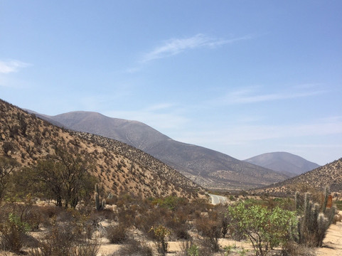 Reserva Nacional Las Chinchillas-Illapel必去景点