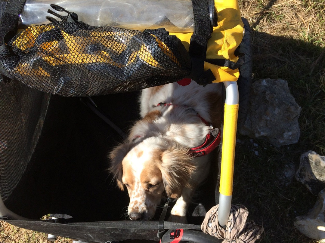 Santos Trailhead & Campground-奥卡拉必去景点