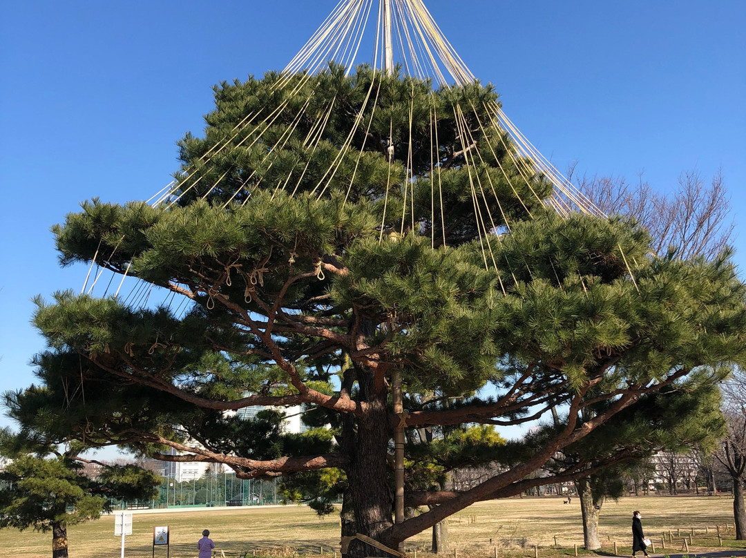 Musashino Chuo Park-武藏野市必去景点