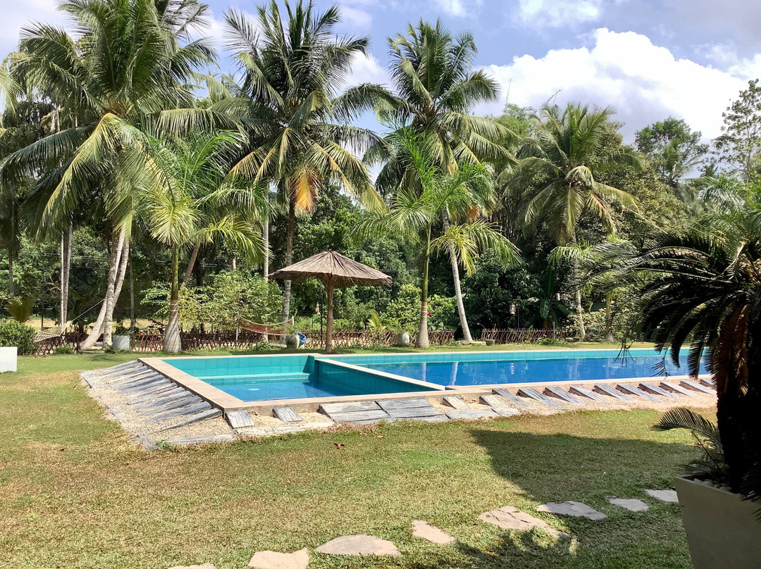 Airport Resort主图