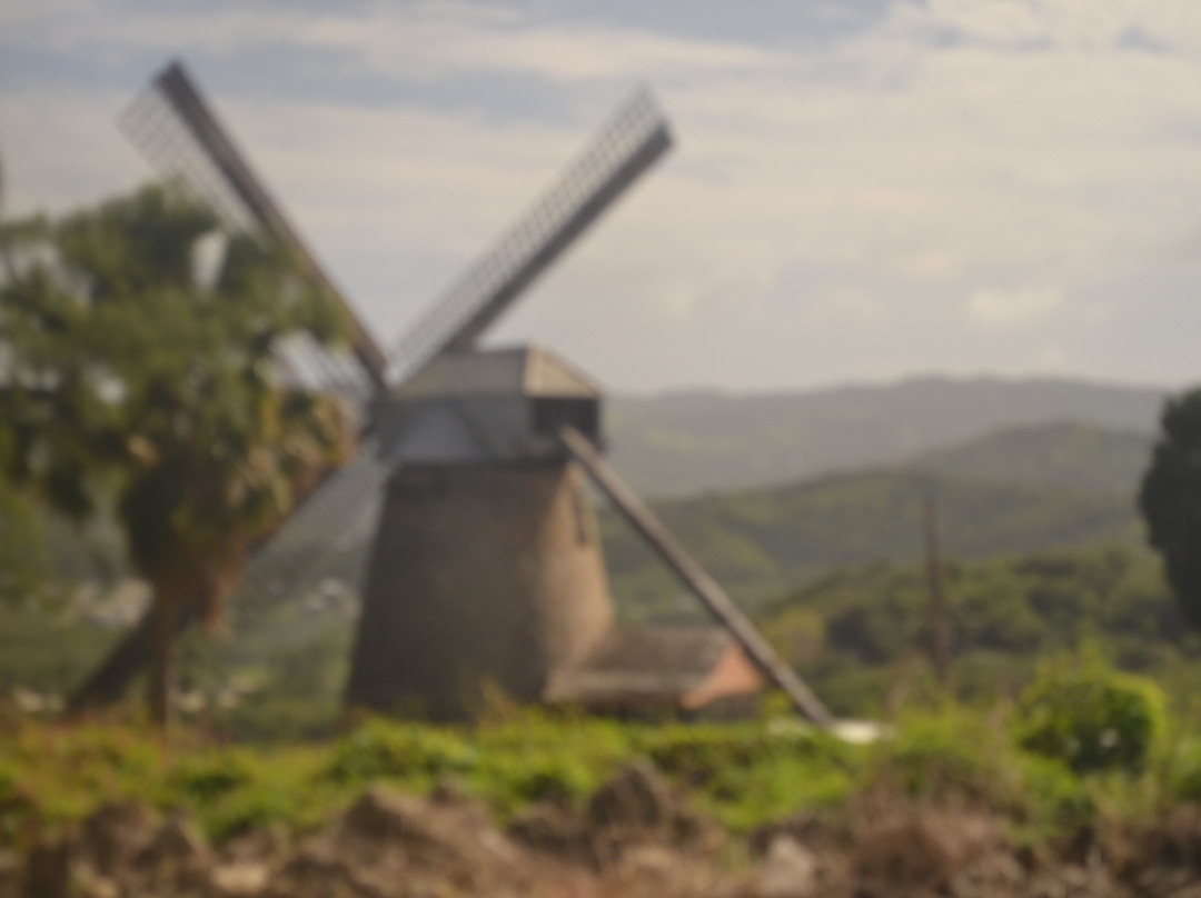 Morgan Lewis Mill-Saint Andrew Parish必去景点