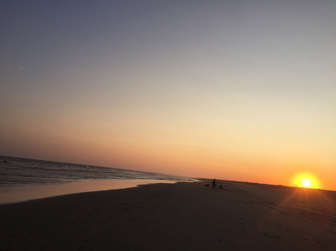 Praia do Hermenegildo景点图片