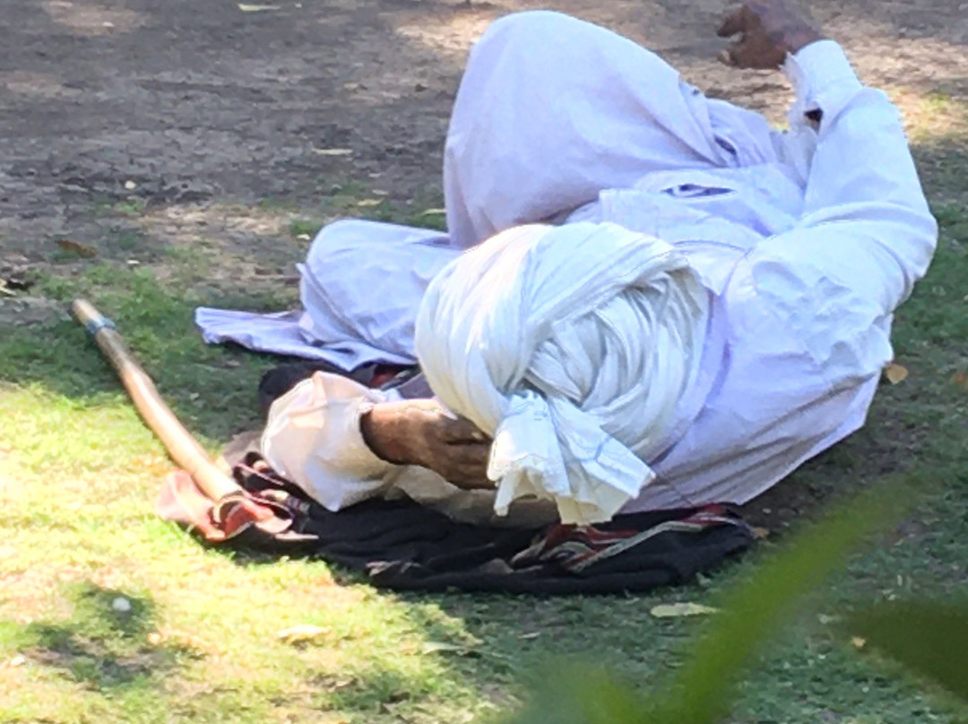 Watson Museum-杰拉果德必去景点