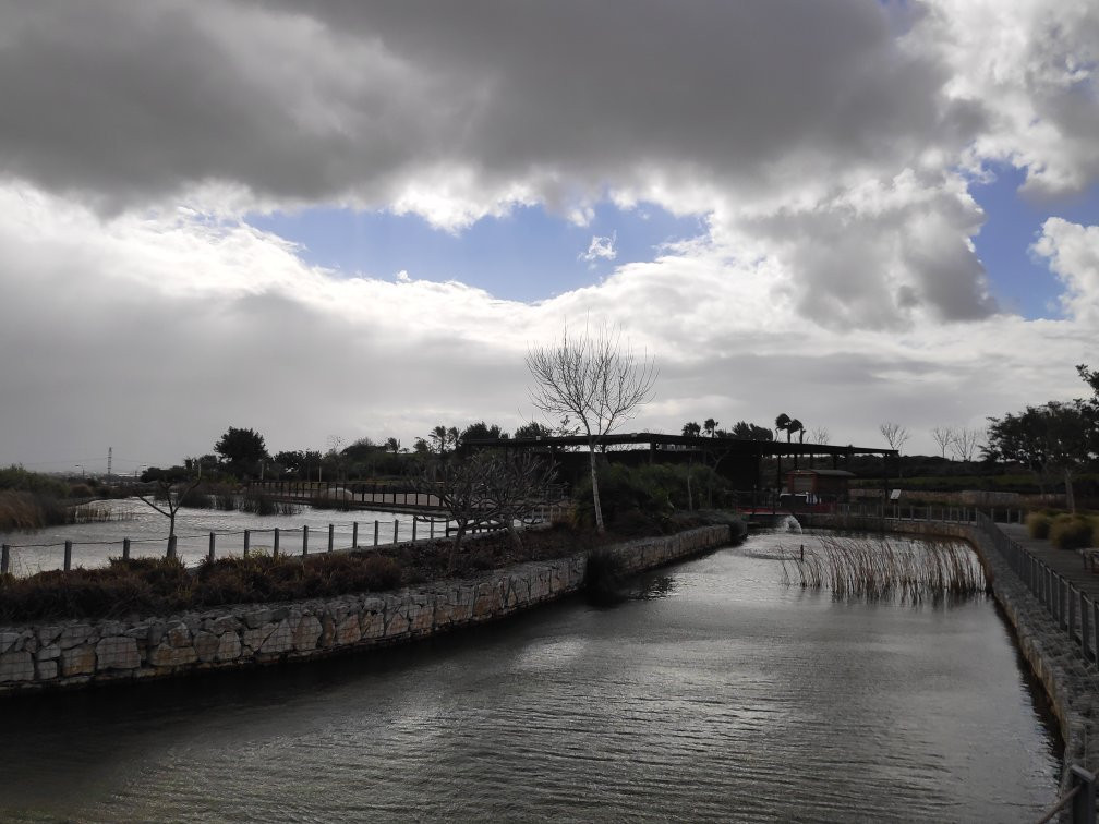 Ariel Sharon Park-特拉维夫必去景点