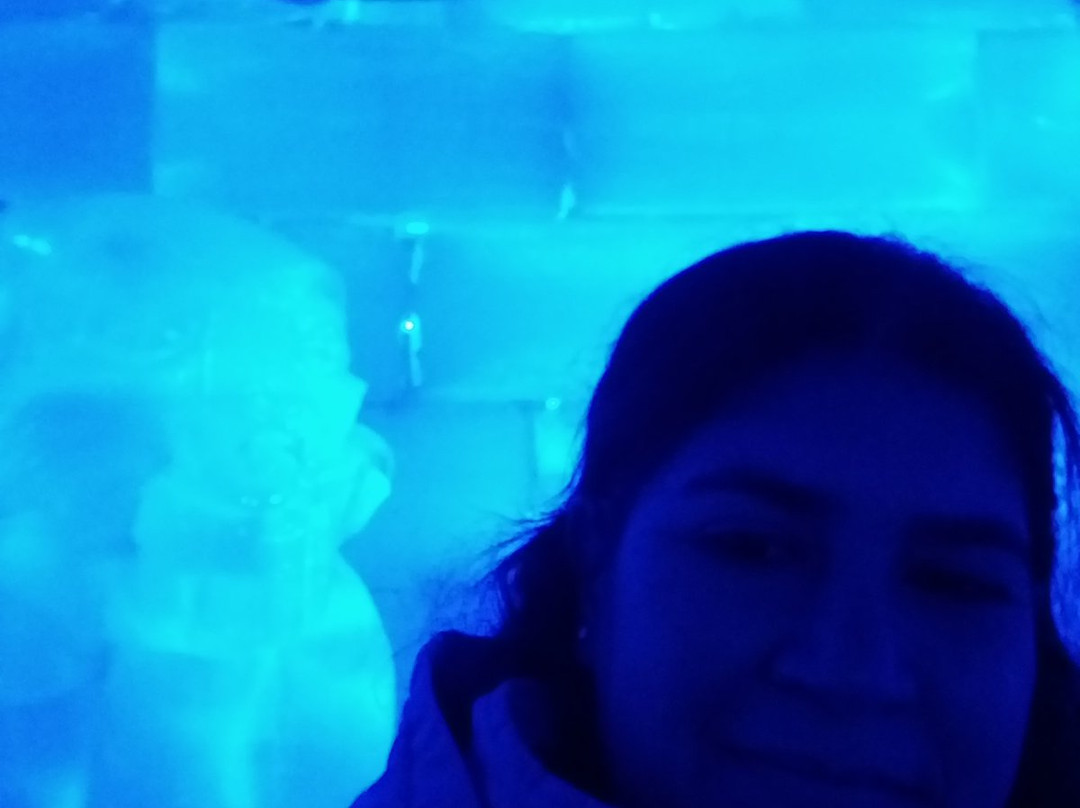 Dreams Ice Bar-伊瓜苏必去景点