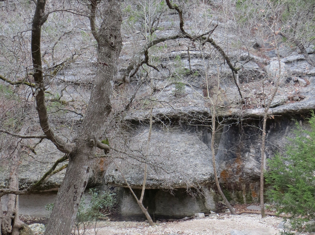 Lost Maples East Trail景点图片