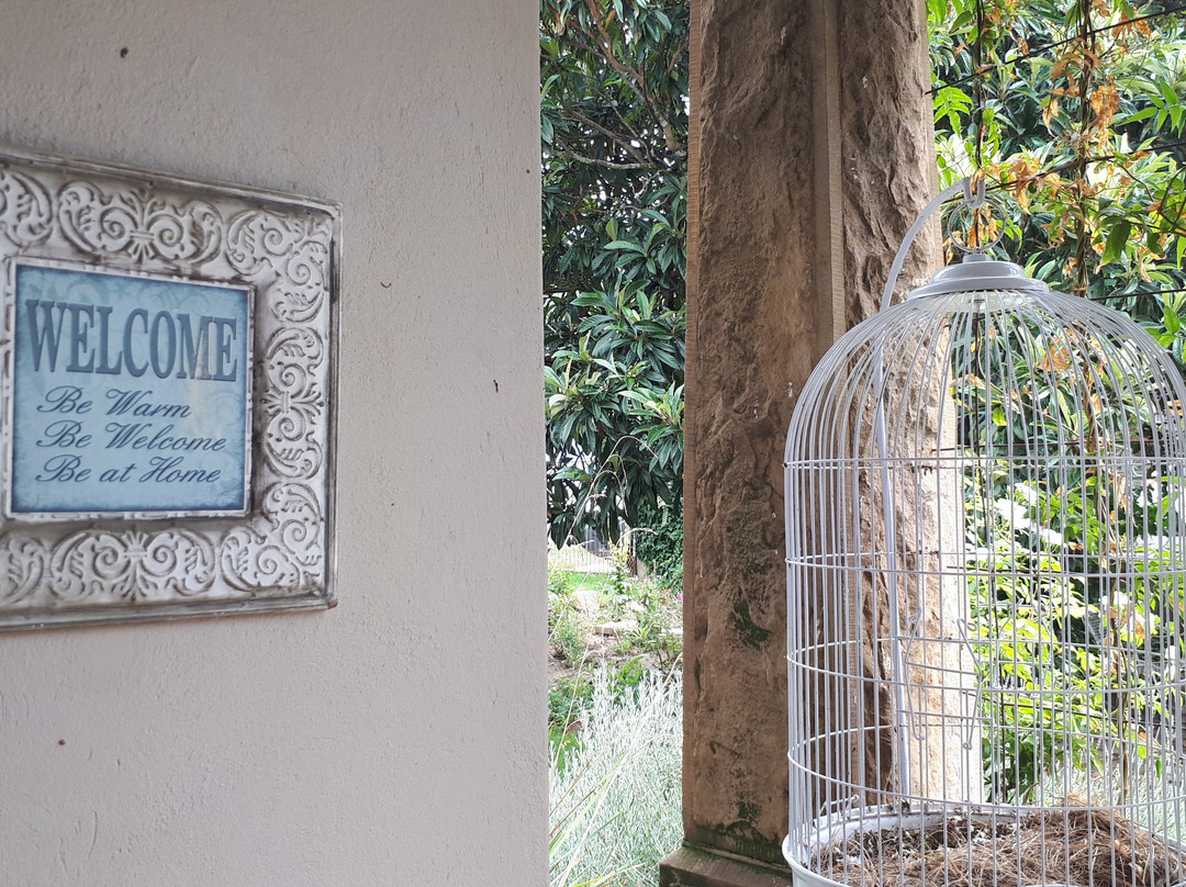 The Green Acorn Guest House主图