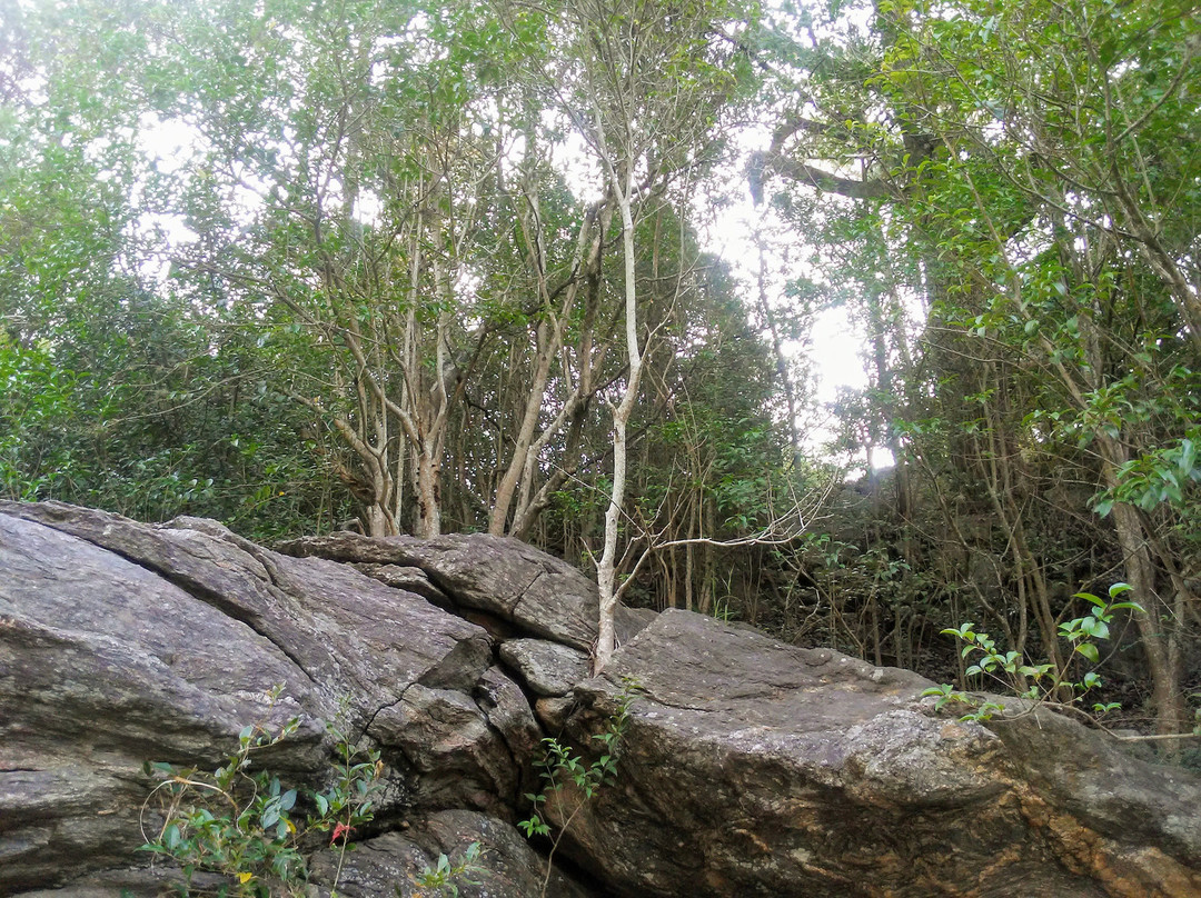 Molino de Thea-Villa Giardino必去景点