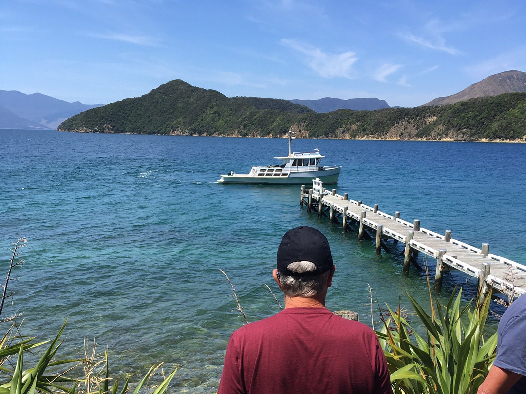 Pelorus Tours - Private Tours景点图片