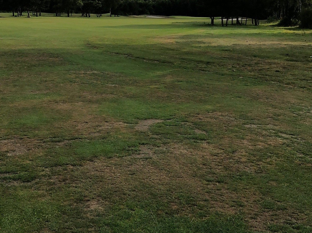 Golf Club Green Eagle-Winsen必去景点
