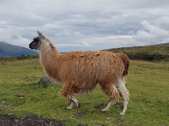 Casa del Montañero主图